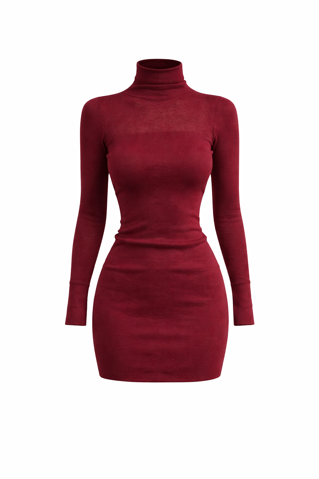 Jesolice Burgundy Ribbed Turtleneck Bodycon Mini Dress