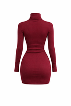 Jesolice Burgundy Ribbed Turtleneck Bodycon Mini Dress