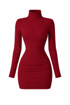 Jesolice Elegant Ribbed Turtleneck Bodycon Mini Dress